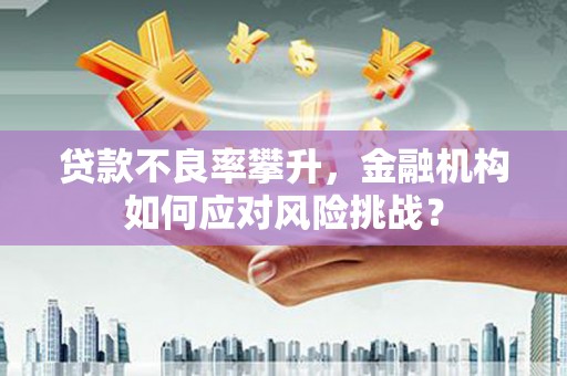 布袋贷款不良率攀升，金融机构如何应对风险挑战？