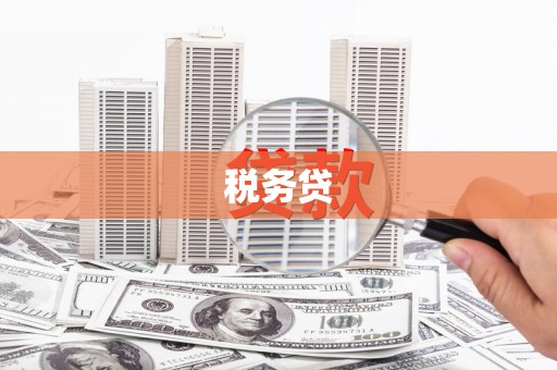 布袋税务贷