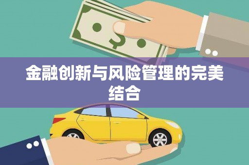 布袋金融创新与风险管理的完美结合