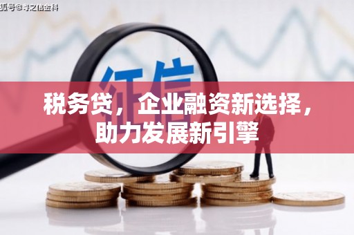 布袋税务贷，企业融资新选择，助力发展新引擎