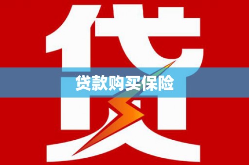 布袋贷款购买保险