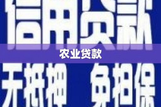 布袋农业贷款