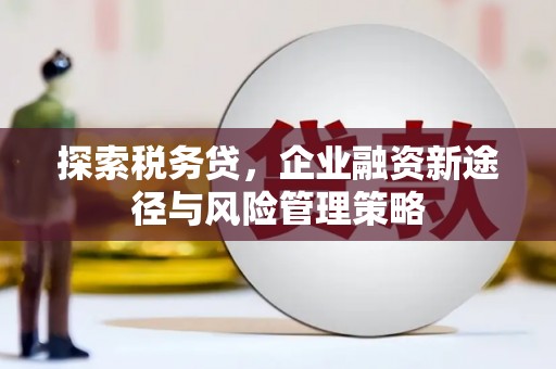 布袋探索税务贷，企业融资新途径与风险管理策略