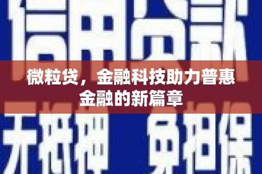 布袋微粒贷，金融科技助力普惠金融的新篇章