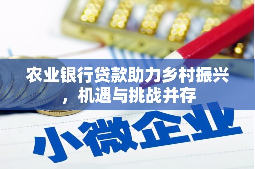 布袋农业银行贷款助力乡村振兴，机遇与挑战并存