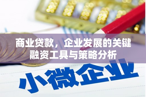 布袋商业贷款，企业发展的关键融资工具与策略分析