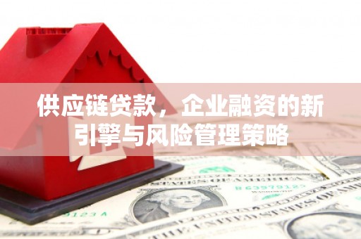 布袋供应链贷款，企业融资的新引擎与风险管理策略