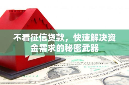 布袋不看征信贷款，快速解决资金需求的秘密武器