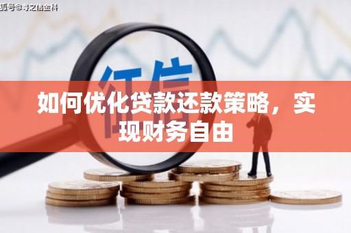 布袋如何优化贷款还款策略，实现财务自由