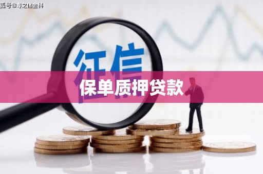 布袋保单质押贷款
