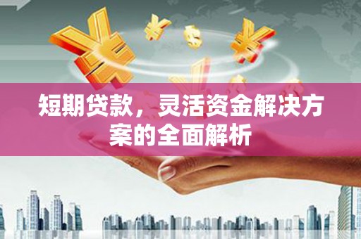 布袋短期贷款，灵活资金解决方案的全面解析