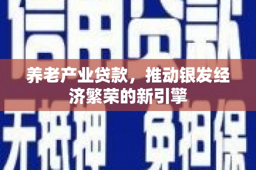 布袋养老产业贷款，推动银发经济繁荣的新引擎