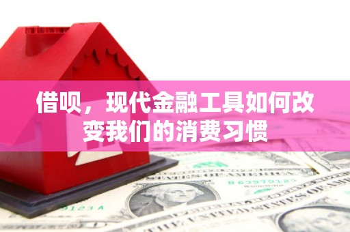 布袋借呗，现代金融工具如何改变我们的消费习惯