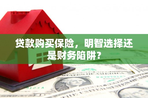 布袋贷款购买保险，明智选择还是财务陷阱？