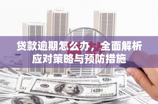 布袋贷款逾期怎么办，全面解析应对策略与预防措施