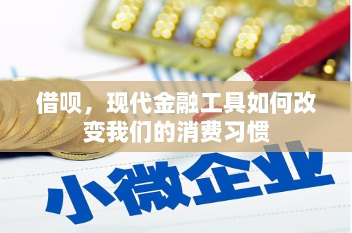 布袋借呗，现代金融工具如何改变我们的消费习惯