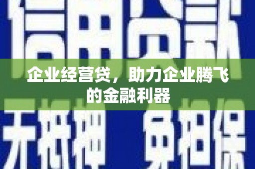布袋企业经营贷，助力企业腾飞的金融利器