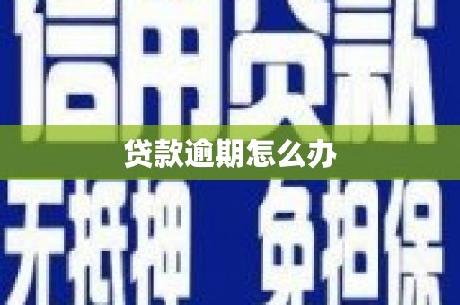 布袋贷款逾期怎么办