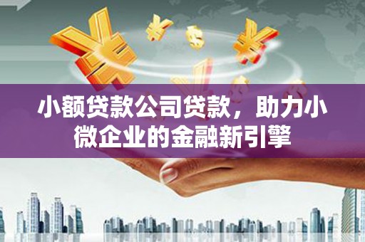 布袋小额贷款公司贷款，助力小微企业的金融新引擎