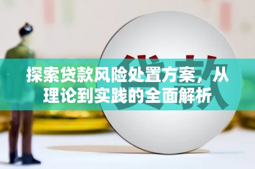 布袋探索贷款风险处置方案，从理论到实践的全面解析