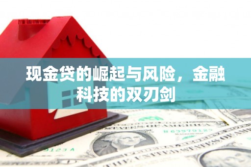 布袋现金贷的崛起与风险，金融科技的双刃剑
