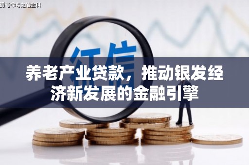 布袋养老产业贷款，推动银发经济新发展的金融引擎