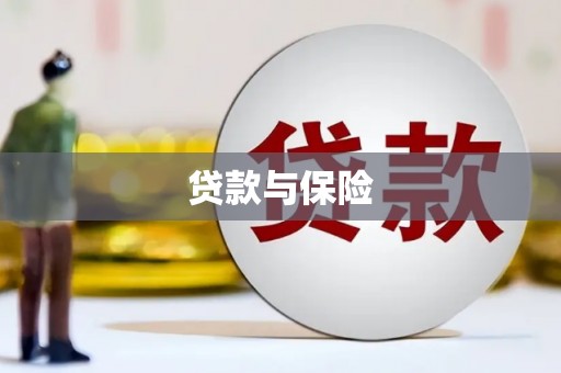 布袋贷款与保险