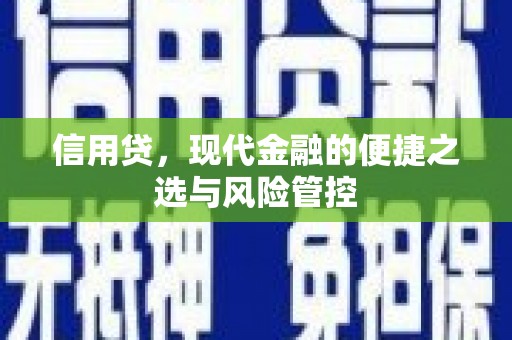 布袋信用贷，现代金融的便捷之选与风险管控
