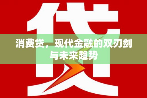 布袋消费贷，现代金融的双刃剑与未来趋势