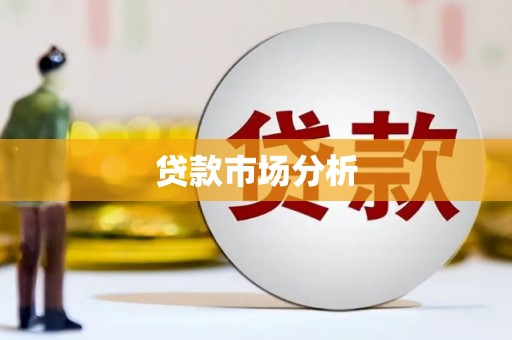 布袋贷款市场分析