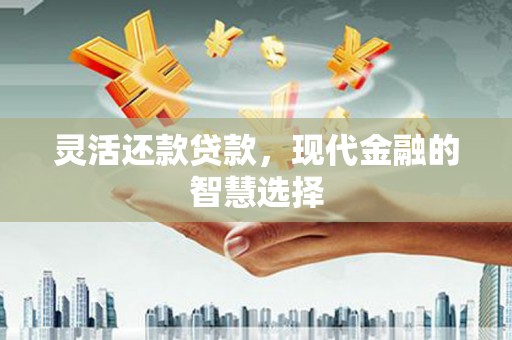 布袋灵活还款贷款，现代金融的智慧选择
