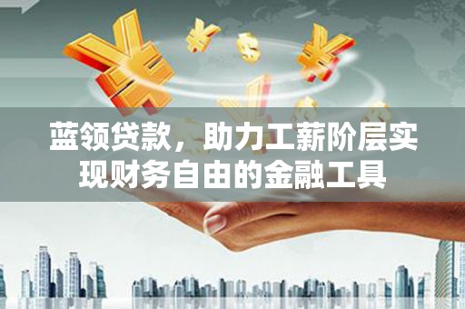 布袋蓝领贷款，助力工薪阶层实现财务自由的金融工具