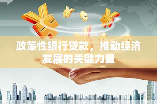布袋政策性银行贷款，推动经济发展的关键力量