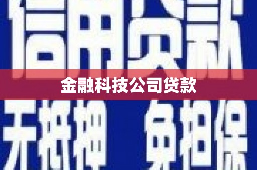 布袋金融科技公司贷款