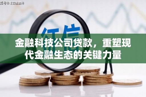 布袋金融科技公司贷款，重塑现代金融生态的关键力量