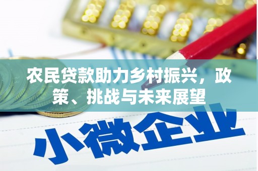 布袋农民贷款助力乡村振兴，政策、挑战与未来展望
