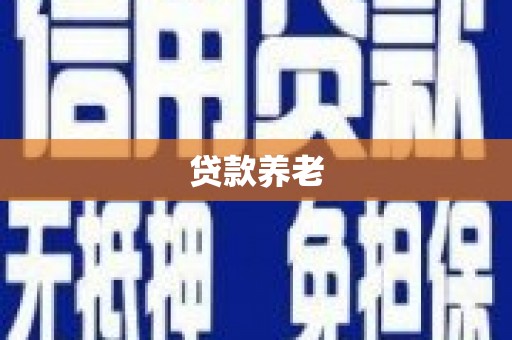 布袋贷款养老