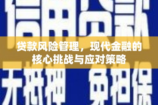 布袋贷款风险管理，现代金融的核心挑战与应对策略
