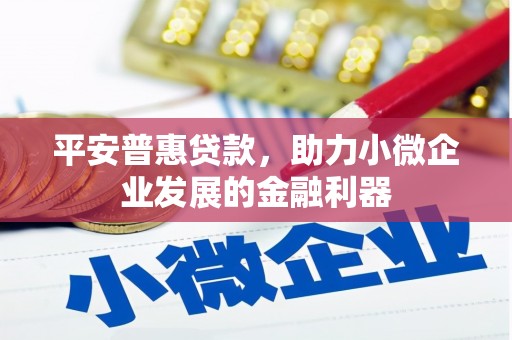 布袋平安普惠贷款，助力小微企业发展的金融利器