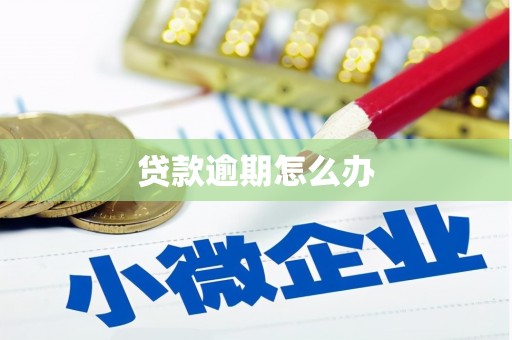 布袋贷款逾期怎么办