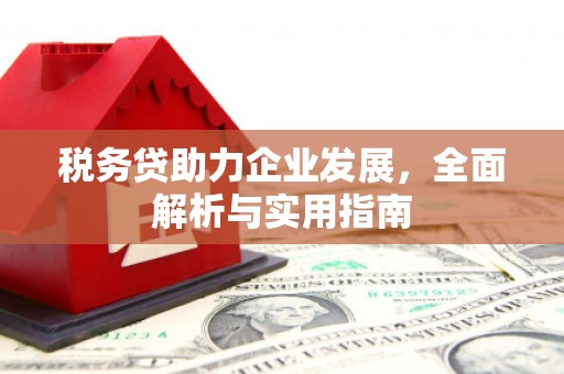 布袋税务贷助力企业发展，全面解析与实用指南