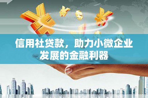 布袋信用社贷款，助力小微企业发展的金融利器