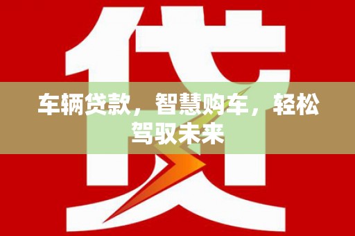 布袋车辆贷款，智慧购车，轻松驾驭未来