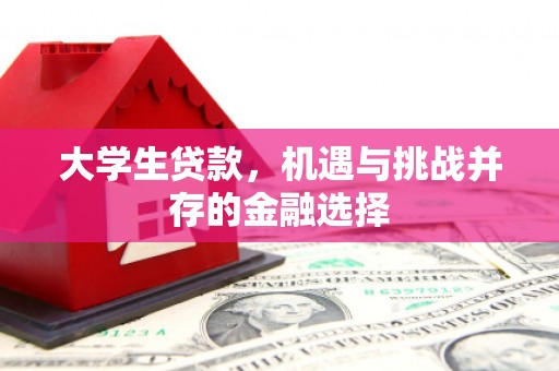 布袋大学生贷款，机遇与挑战并存的金融选择