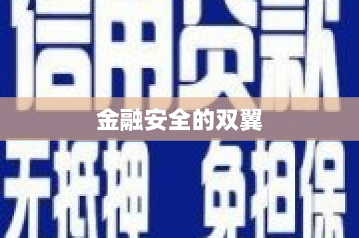 布袋金融安全的双翼