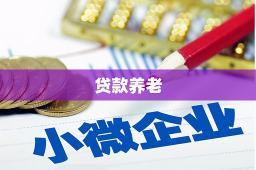 布袋贷款养老