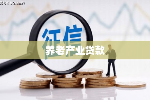 布袋养老产业贷款
