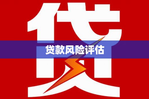 布袋贷款风险评估