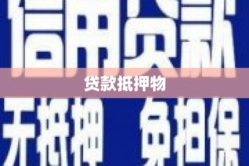 布袋贷款抵押物