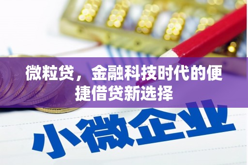 布袋微粒贷，金融科技时代的便捷借贷新选择